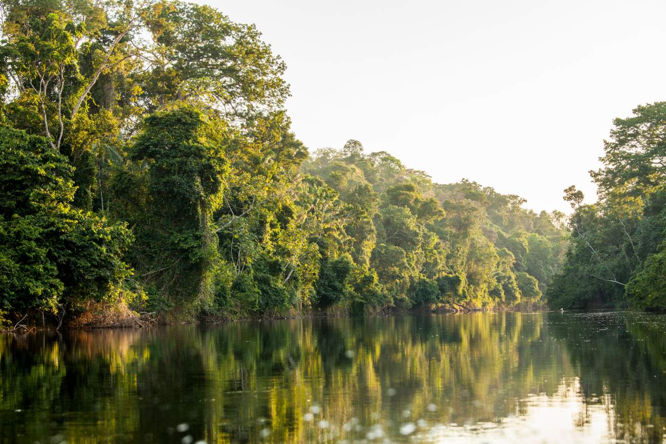 Beleef Suriname Rondreis 0