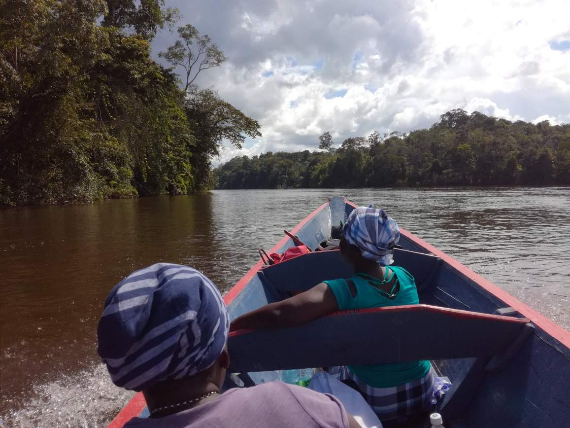 Fly en Drive in Switi Suriname Rondreis 2