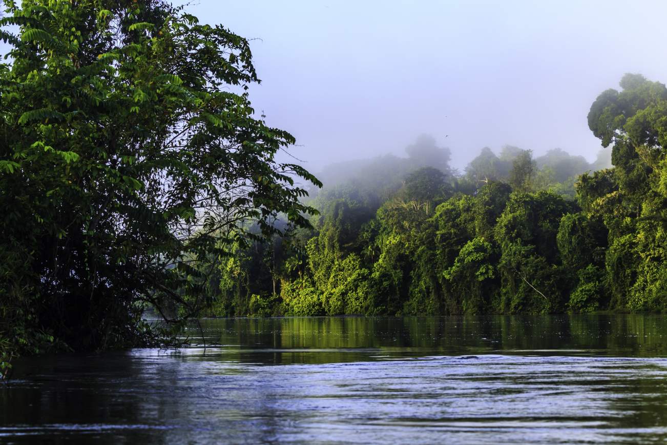Suriname Cultuur en Avontuur rondreis 10