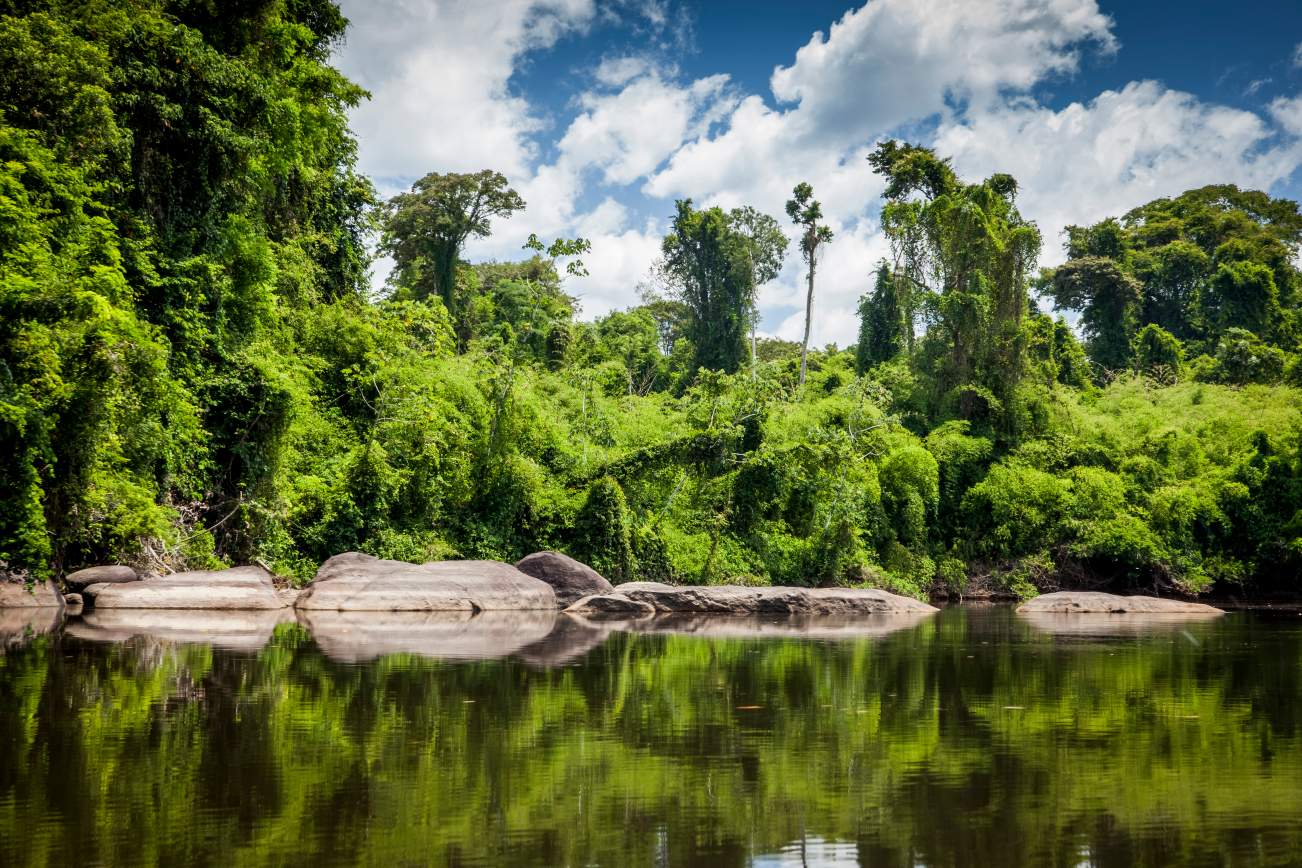 Suriname Oost-Zuid-West Rondreis 