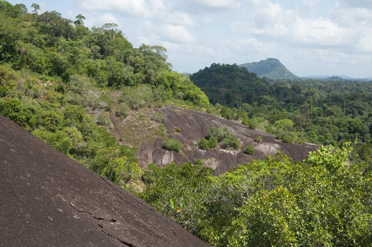 Suriname Oost-Zuid-West Rondreis  3