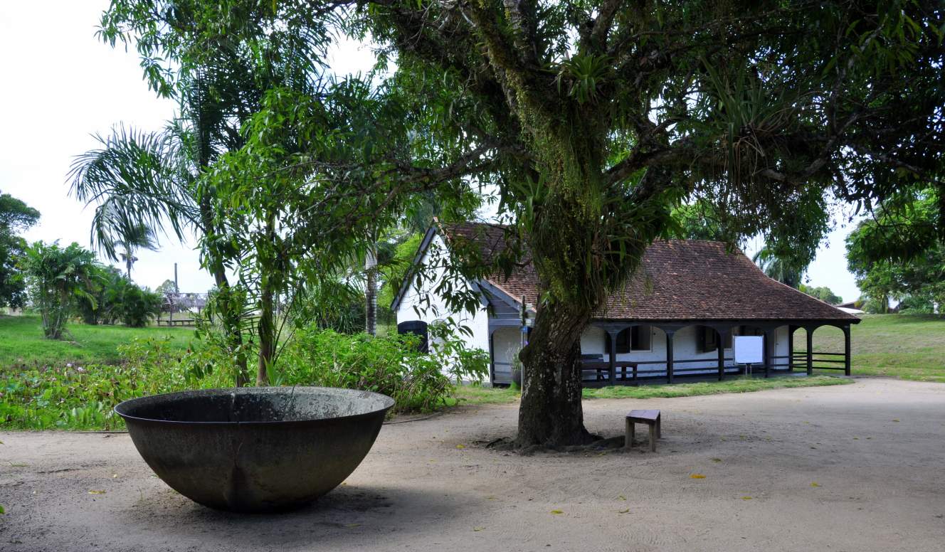 Suriname Oost-Zuid-West Rondreis  4