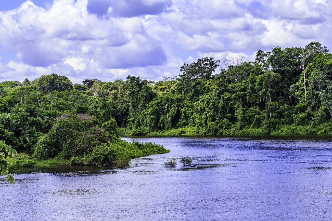 Fly en Drive Ontdek zelf Suriname  7