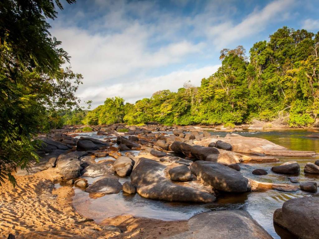 Authentiek Suriname rondreis Afbeelding